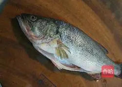 Illustration of how to make squirrel bass 1