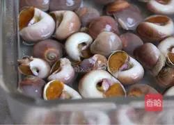 Illustration of how to cook snails in sauce 1