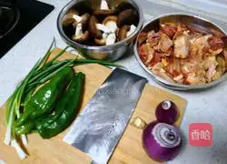 Stewed Chicken (Sichuan version) version) illustration 1