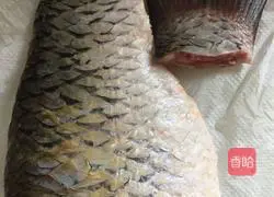 Braised water (fish tail) Illustration of how to do it 1