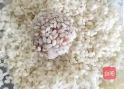 Illustration of how to make pearl meatballs 2