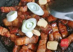 Classic Braised Pork Recipe Illustration 8