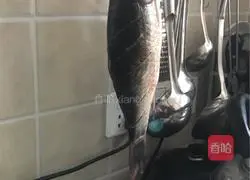 Illustration of how to cook crucian carp 1