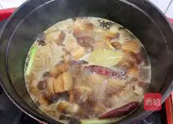 Illustration of Braised Pork and Potatoes 19