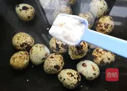 Illustration of how to make spiced quail eggs 6
