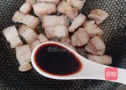 Braised Pork Recipe Illustration 5