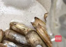 Illustration of steaming razor clams in snow juice 3