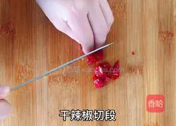 Illustration of how to make Kung Pao Chicken 5