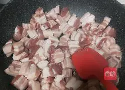 Illustration of how to make braised pork 5