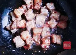 Illustration of braised pork 4 