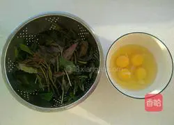 Illustration of how to make Chinese toon scrambled eggs 1
