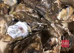 Cantonese style - garlic steamed oysters illustration 2