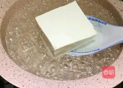 Cheese Steamed Tofu Tutorial Illustration 2