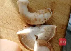 Illustration of how to make fried pasta 2