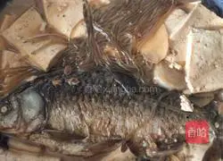Recipe for braised crucian carp with tofu vermicelli Illustration 7