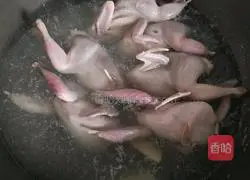 Illustration of how to make braised quail 2