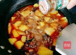 Illustration of how to cook turtle and potatoes 16