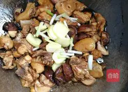 Illustration of how to make braised chicken 4