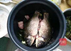 Suyu Illustration of how to make pickles 7