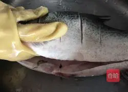 Illustration of braised silver carp 1