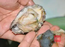 Illustration of how to make abalone in golden soup 1