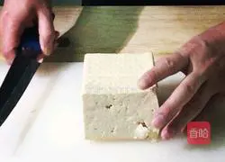 Traditional Mapo Tofu Recipe Illustration 1