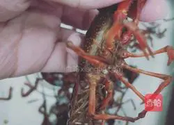 Illustration of how to make spicy crayfish 1