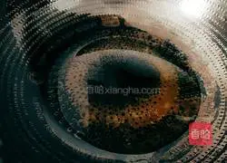  Illustration of how to make steamed beef brisket with mushrooms 11