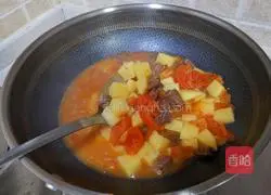 Illustration of Braised Beef Brisket with Tomatoes and Potatoes 13