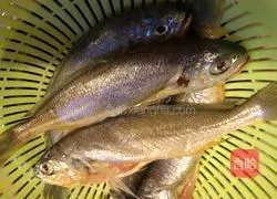 Illustration of braised small yellow croaker 1