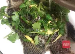 Cantonese-style illustration of steaming reservoir crucian carp 7