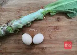 Illustration of how to make scrambled eggs with lettuce 1