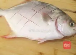 Illustration of braised golden pomfret 1