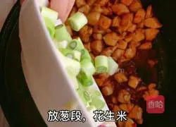 Illustration of how to make Kung Pao Chicken 13