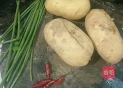 How to make spicy and sour potato shreds Illustration 1