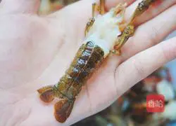 Illustration of how to make spiced crayfish (low oil version) 3