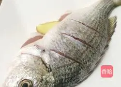 Illustration of steamed yellow spine fish 2