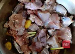 Illustration of how to make salt and pepper bullfrog 2