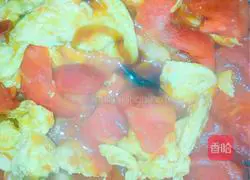 Illustration of how to add this to tomato scrambled eggs in a five-star hotel 7