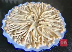 Meat Illustration of how to make fresh tea tree mushrooms 7