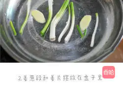 Illustration of steamed sea bass 2