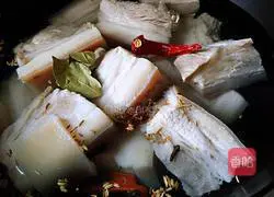 Illustration of home-cooked braised pork 4