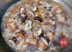 Illustration of making mushroom and chicken bento 13