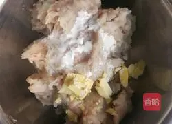 Illustration of how to send unicorn goldfish for longevity 3