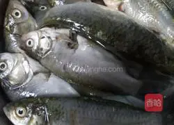 Illustration of how to make fried crucian carp 1