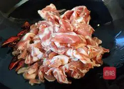 Cumin Lamb Recipe Illustration 6