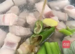 Illustration of braised pork 3