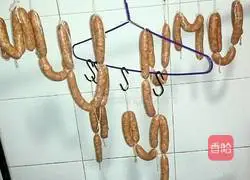 Illustration of homemade grilled sausage 6