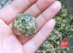 Illustration of how to make shepherd's purse and pork meatballs 7