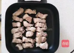 Illustration of Braised Pork 3